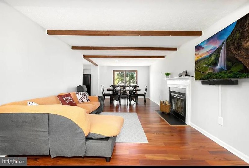Silver Spring Home Living Room